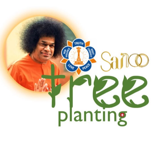 SAI 100 tree planting